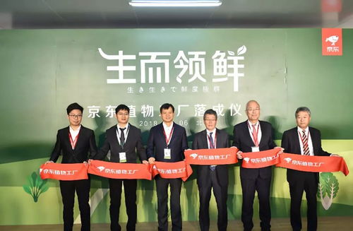 從智慧養(yǎng)豬到無土種菜 京東生物技術(shù)服務(wù)的創(chuàng)新藍(lán)圖